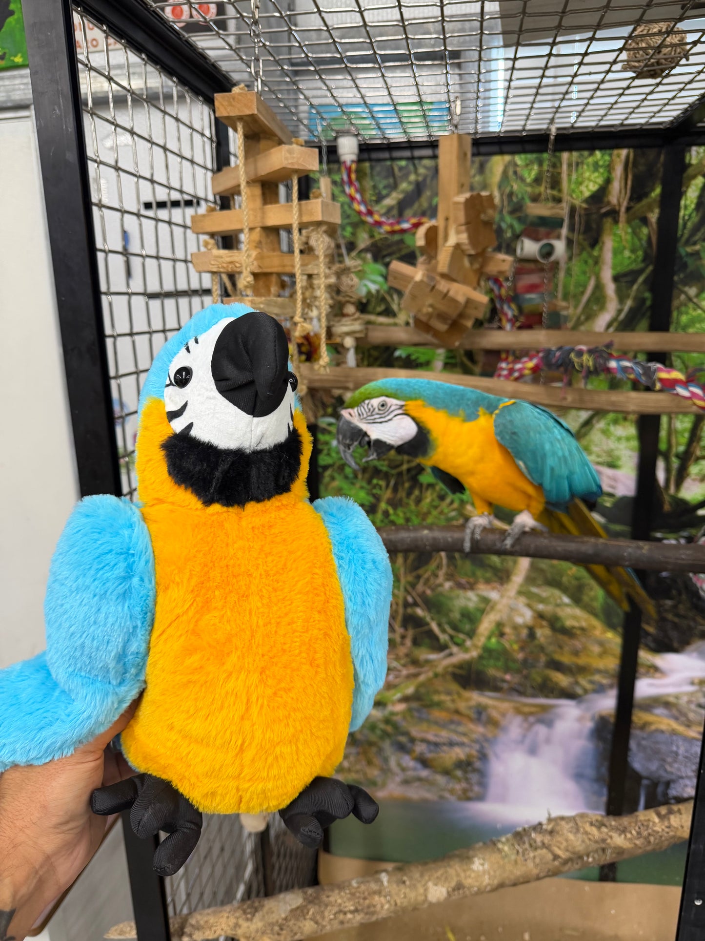Marvin the Macaw plushie