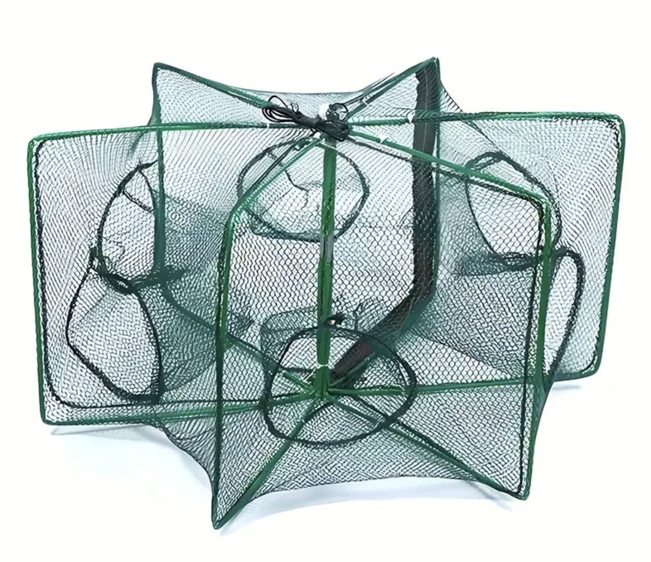 Fish Trap