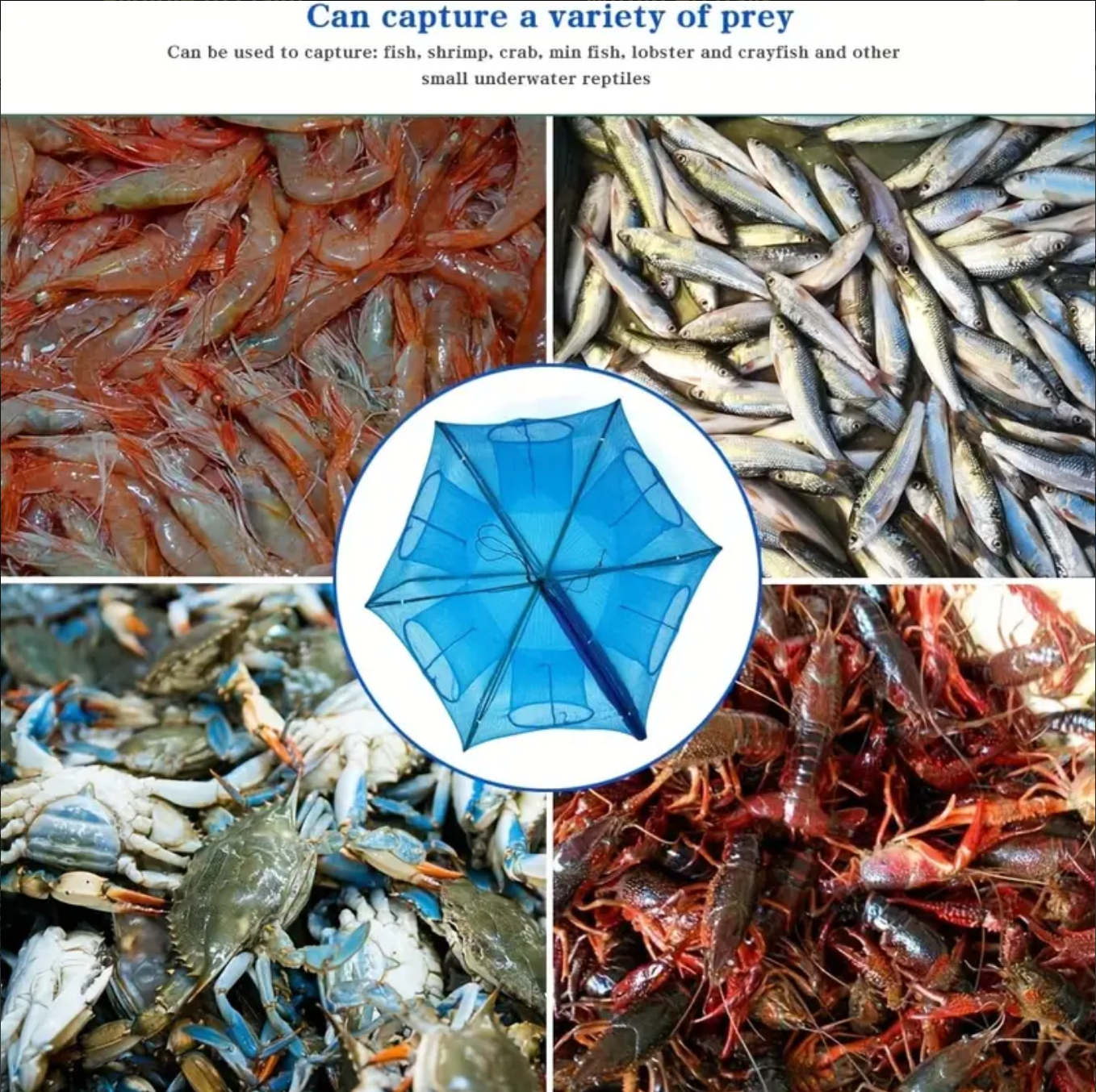 Fish Trap