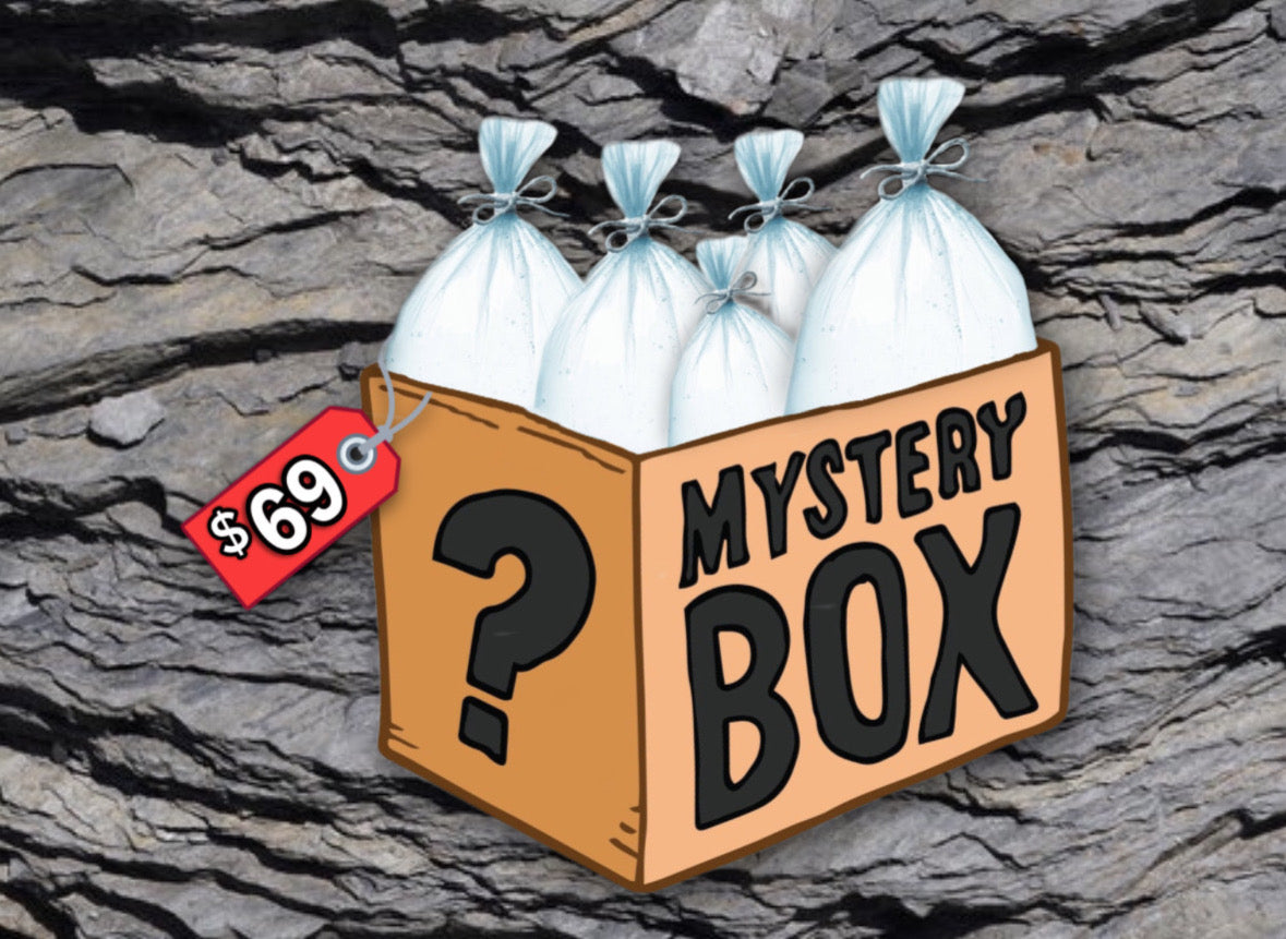 Mystery Fish Box
