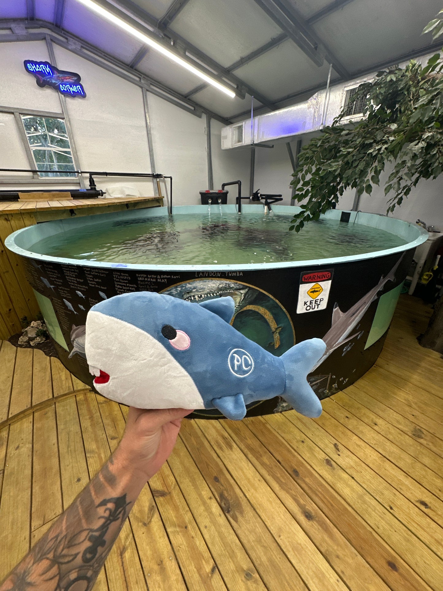 Blue Shark Plushie