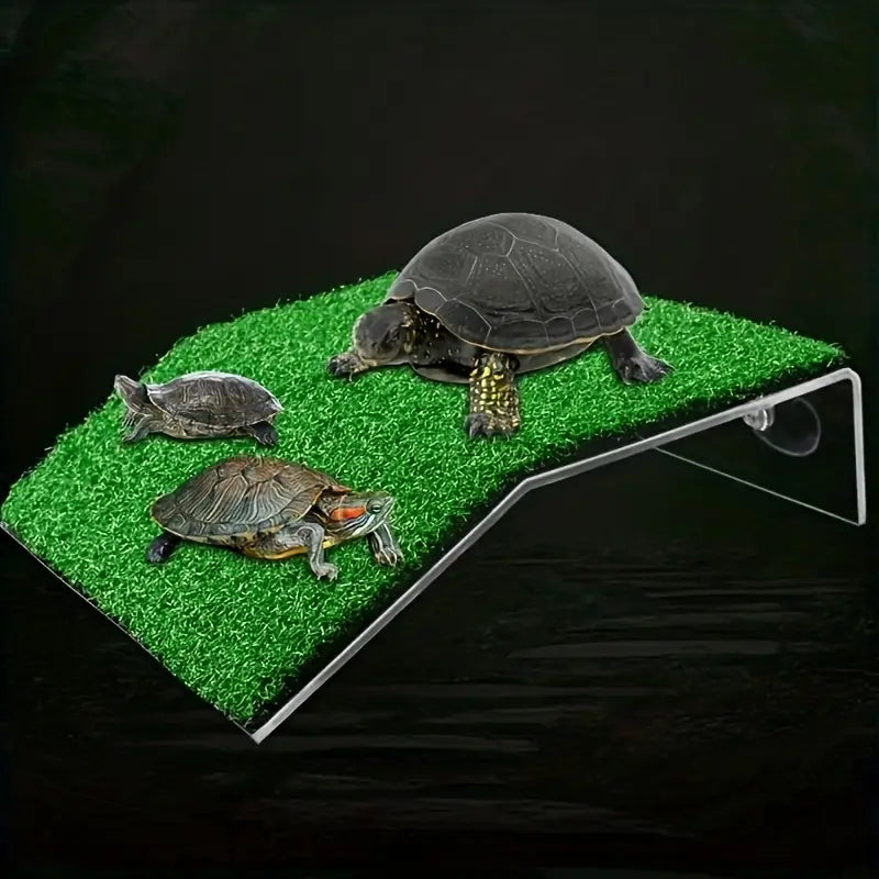 Turtle Dock