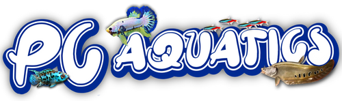Mystery Fish Box – PC Aquatics