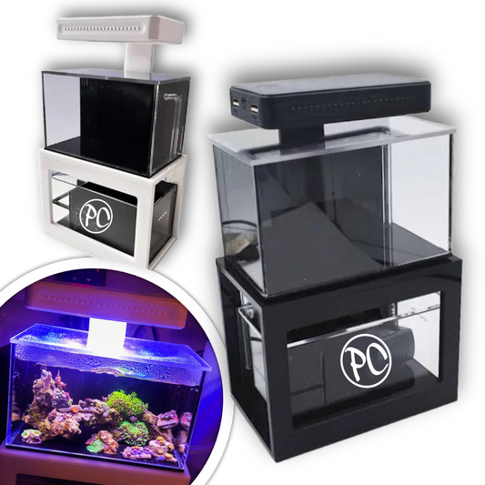 PC Mini Functional Aquarium