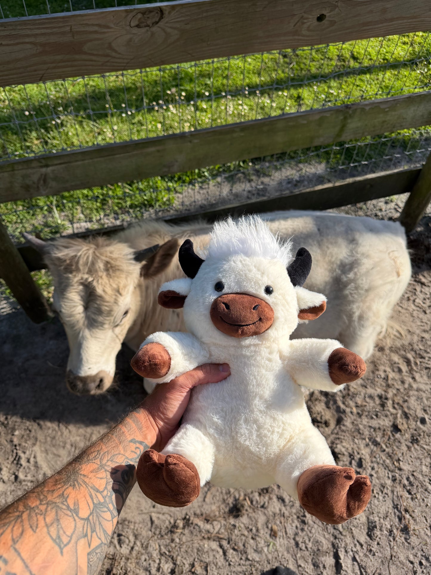 Highland Cow Plushie (Fergus)