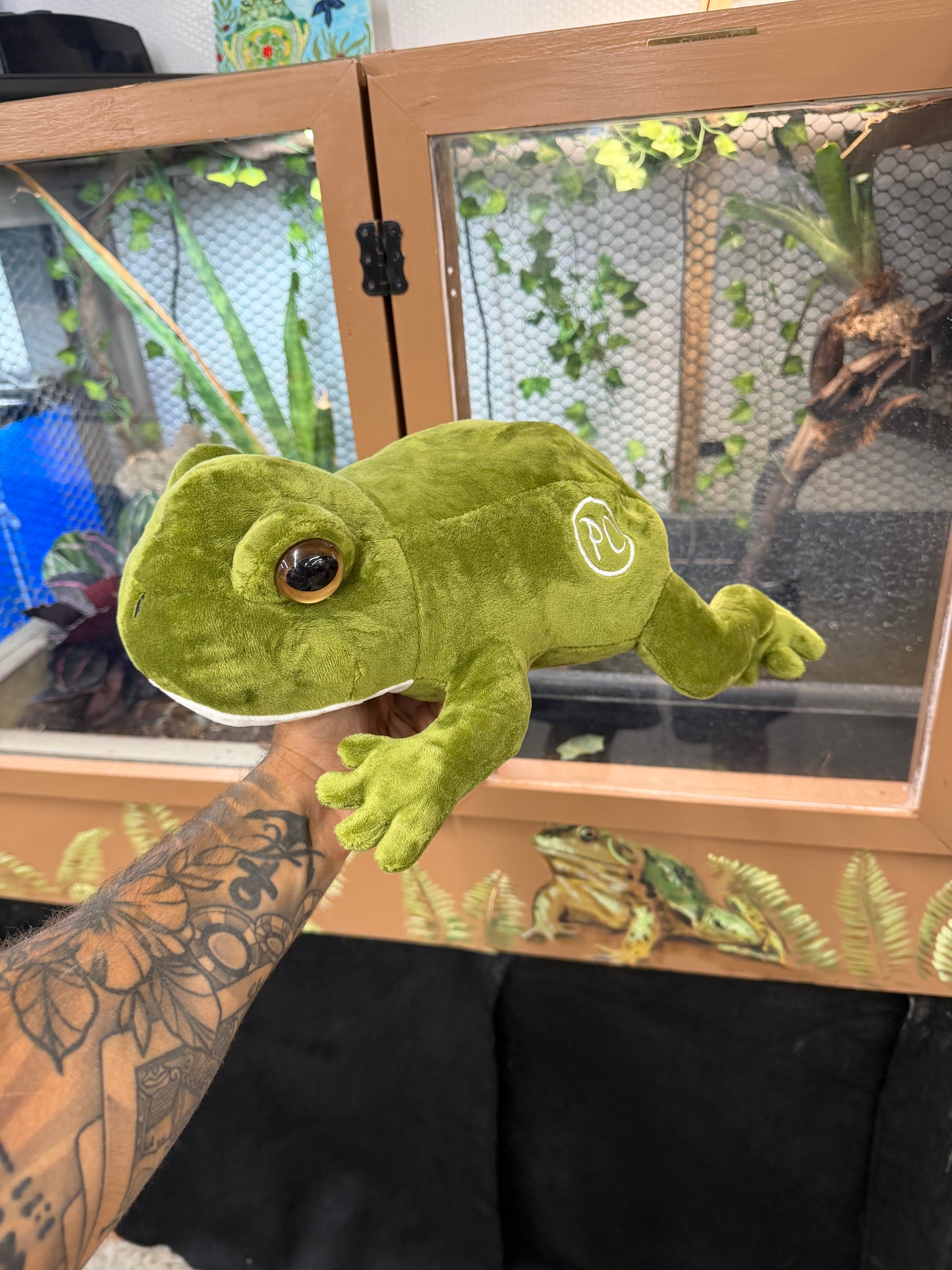 Cornelius the Frog Plushie