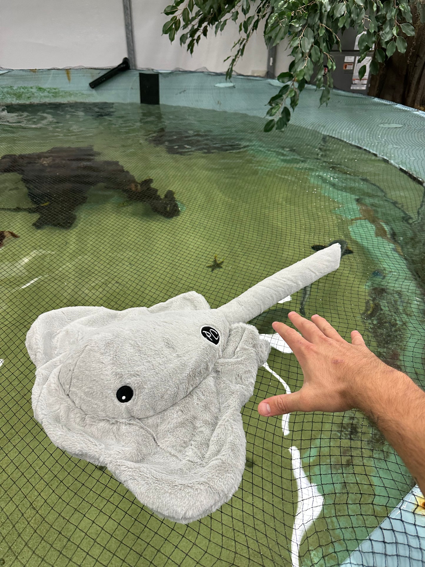 Stingray Plushie